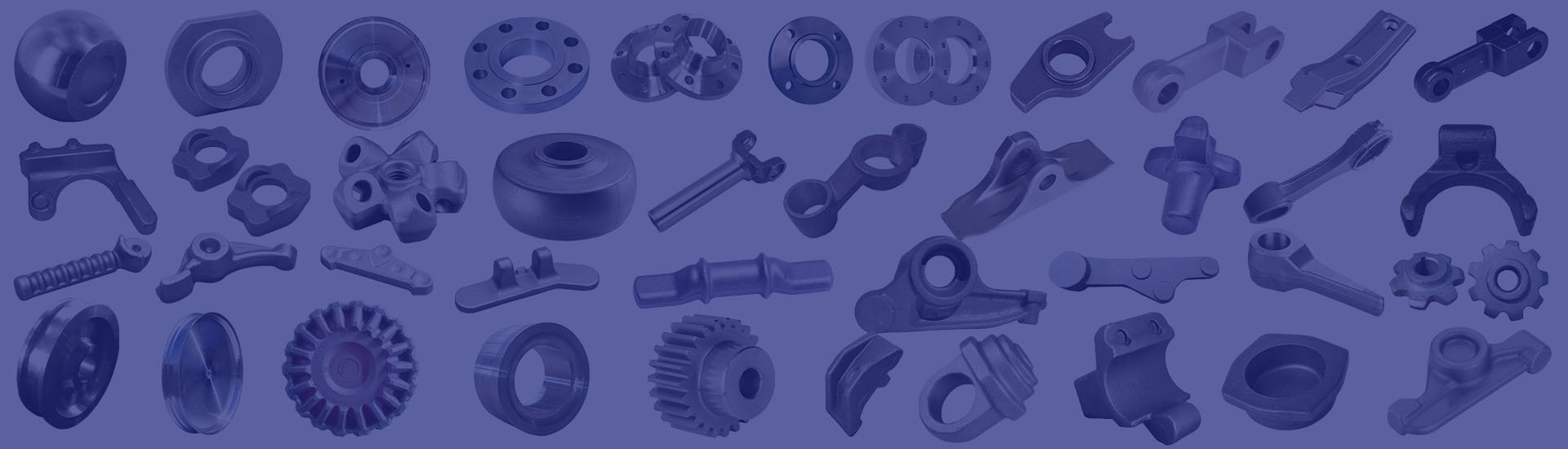 Forged Flanges